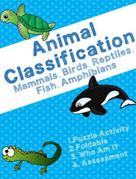 Animal Classification Fish Birds Mammals Reptiles Amphibians Animal Classification Mammals Activities Mammals