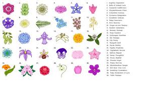 A brief history of the tradition that commemorates those who lost their lives at war. 16 Plants For Remembrance Ideas Plants Outdoor Gardens Garden Inspiration