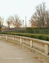 French Larkspur Paris In December Paris Pictures Beautiful Paris