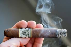 Image result for Medium Brown 2013 Fleet