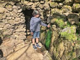 Things to do with kids in hot springs ar. 16 Spectacular Things To Do In Hot Springs Arkansas