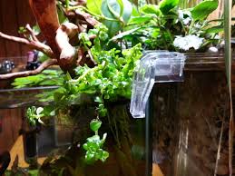 25cm Nano Cube Riparium The Planted Tank Forum
