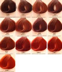 Garnier nutrisse ultra color nourishing hair color creme, r3 light intense auburn, 1 kit. Fun Darker Shades For Red Hair Redhair Ginger Hair Color Red Hair Color Dyed Hair