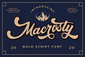 Script is a product of micrologic software, inc. Macrosty Bold Script Font 972172 Brush Font Bundles