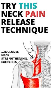 Pin On Neck And Shoulder Pain Management
