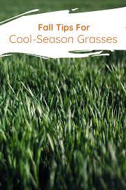 Fall Lawn Fertilization Cool Season Grasses Fall Lawn Garden Design Ideas Uk Pergola Pictures