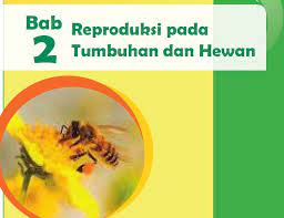 We did not find results for: Rangkuman Materi Ipa Kelas 9 Bab 2 Portal Edukasi