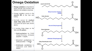Omega Oxidation For Fatty Acids Youtube