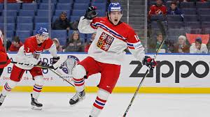 Born 27 november 1999) is a czech professional ice hockey forward currently playing with the detroit red wings of the national hockey league (nhl). Red Wings Filip Zadina To Play For Czech Republic At World Juniors Sportsnet Ca