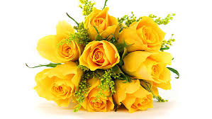 Keep in mind that different colored lilies have different meanings. The Meaning And Significance Of Rose Flowers By Their Color