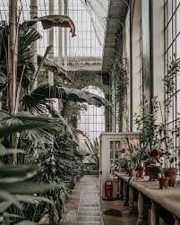 Botanic Gardens Edinburgh Botanic Gardens Edinburgh Botanical Gardens Edinburgh Photography