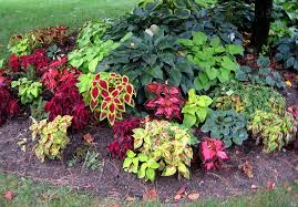 Pre Planned Shade Garden Designs Garden Plans Garden Layouts Backyard Plants Shade Garden Design Shade Plants
