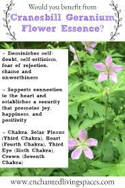 Pin On Flower Essences Handmade By Enchanted Living Spaces