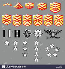 Marine Corps Rank Online Charts Collection