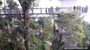 The habitat terletak di bukit bendera (penang hills). Jalan Jalan Di Puncak Bukit Bendera Penang Xplorasi Destinasi