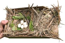 However, nesting swallows can become a nuisance, as they build mud nests around building exteriors, including eaves and porches. Examine A Nest To Identify Birds
