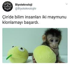 Biyoteknoloji 1996 Da Iskocya Da Dunyaya Gelen Klon Koyun Dolly Den Sonra Ilk Defa Bir Primat Klonlandi Cin De Slippers Shoes Instagram
