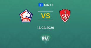 LOSC Lille x Brest Palpite: Prévia e Análise da Partida | Ligue 1 14-02-2026