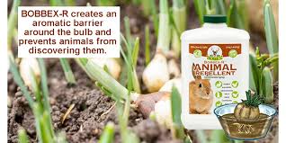 Amazon.Com: Bobbex Animal Repellent Ready-To-Use Outdoor Rabbit, Squirrel,  And Chipmunk Repeller Spray (32 Oz.) B550125 : Patio, Lawn & Garden
