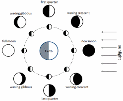 Lunar Calendar For Natural Hair Growth