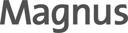 Support in finding the right candidates for your set up in asia. Magnus Digital Transformation Innovation