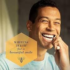 Burt's Bees Brosse à dents en bambou avec poils infusés au charbon, doux, 1  pièce : Amazon.ca: Santé et Soins personnels