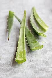 Clean the roots of your aloe plant in water to remove any soil. How To Harvest Aloe Vera What To Do With It Hello Glow