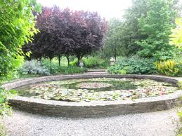 Water Lilies Shawsseasonalliving