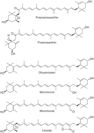 Pattern pattern paper paper piecing patterns paper hearts pattern blocks. Carotenoids Springerlink