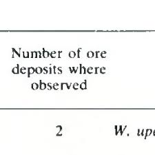 Image result for Wahlenbergia ericoidella