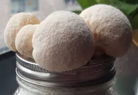Prepare the spawn bag mixture. How To Grow Lion S Mane Mushroom In A Jar Mushroom