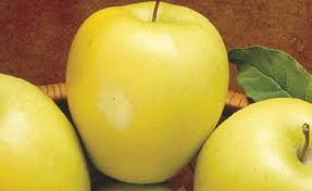 Manzana Golden Caracteristicas Tipos Propiedades Manzanas Recetas 2020