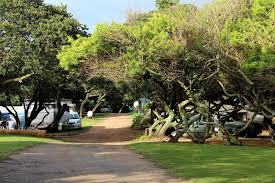 Последние твиты от langley lodge (@langleylodge). Kzn South Coast Hibiscus Ilanga Caravan Park Caravan Outdoor Life