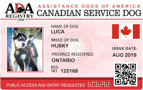After applying, please check your junk mail for emails from us! Service Dog Registration For Luca Ada Assistance Dog Registry