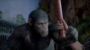 Ape chimpanzee planet of the apes alzheimer's disease when animals attack 217 more. Rise Of The Planet Of The Apes 2011 Imdb