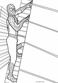 Coloring spiderman can be a little tough because there are a lot of intricacies in his appearance. Printable Spiderman Coloring Pages For Kids