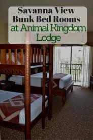 Animal Kingdom Lodge Savannah View Rooms Disney Insider Tips Animal Kingdom Lodge Disney World Hotels Animal Kingdom Lodge Rooms