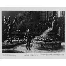 What was the box office gross for edward scissorhands? Edward Scissorhands Movie Still 8x10 In