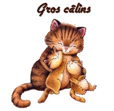 Vous trouverez aussi des centaines d'autres gifs de la même catégorie merci de bien vouloir m'indiquer les gifs que vous souhaiteriez. Gifs Calin Animes Images Caline Moi Calin Gif Image Calin Gros Calin