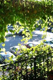 Mur Vegetal Jardin Vertical Vert Plantes Grimpantes Vertes Mur Vegetal Potager Balcon Jardins Verticaux