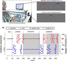 La parola italiana libro deriva dal latino liber.il vocabolo originariamente significava anche corteccia, ma visto che era un materiale usato per scrivere testi (in libro scribuntur litterae, plauto), in seguito per estensione la parola ha assunto il significato di opera letteraria. How Different Effectors And Action Effects Modulate The Formation Of Separate Motor Memories Scientific Reports