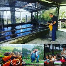 🌲🌲🐄Todo en un...