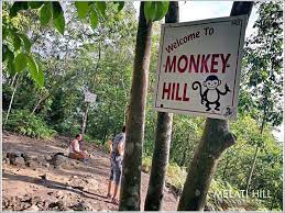 De qué forma los pagos que recibimos afectan al orden en que se a 1,5 km de bukit melati nilai. Melati Hill Value Hike Trail Nilai Negeri Sembilan Malaysia Pacer