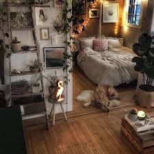 There are low light plants that grow without sunlight, they need indirect exposure, some even thrive in fluorescent light and here in this article. Cozy Dogs And Cozy Places Cozy Living
