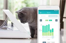 A selective feeder relies on the identification of your pet's microchip. Win A Surefeed Microchip Pet Feeder Connect The Purrington Post