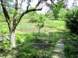 More about palatul brukenthal avrig. Casa Cu Teren Mare In Avrig Langa Palatul Brukenthal New Concept Living 5348