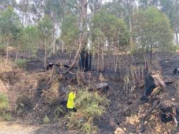 Chloe turner camped out with her children and some of the family's pets, but her husband stayed back. Aulr9m1fwyj Am