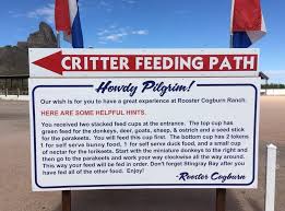 Read online books for free new release and bestseller Rooster Cogburn Ostrich Ranch Arizona Day Trip