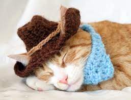 Cowboy Hat For Cats Bandana Add On Option Cowboy Halloween Etsy In 2021 Hat For Cat Cat Bandana Cat Halloween Costume