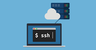 Create ssh account or ssh tunnel server, active 7, 14, 30 days, support openssh, dropbear and tls. Cara Membuat Akun Ssh Gratis Serta Situs Ssh Gratis Cakrawala Rafflesia